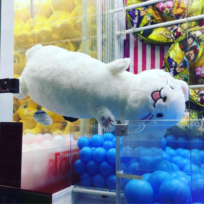 注目 画像ツイート オコジョとヤマネ 4ページ目 アニメレーダー