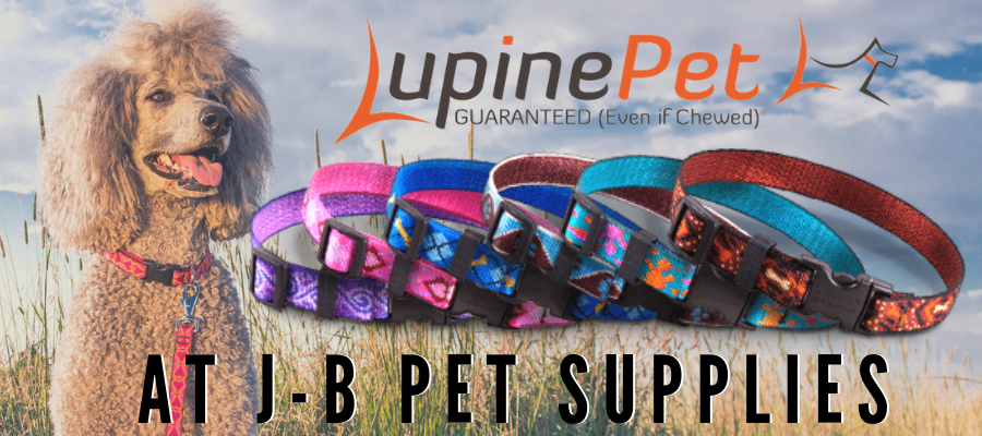 Lupine collars at J-B Pet Supplies! These collars are guaranteed for life, even if chewed! ( And they're cute! ) Come check them out today!