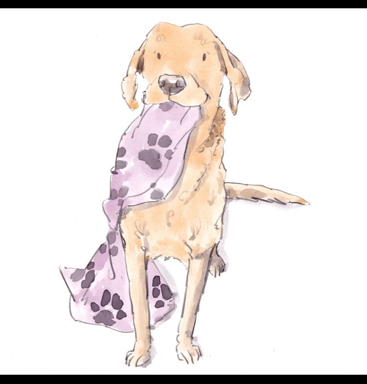 JeffPlusJimmy's tweet photo. The amazing @iaindwelch has drawn my two boys &amp; they are absolutely perfect, thank you so much Iain x #Labrador #LoveMyDogs #DogsofTwittter https://t.co/QQ74EIdcQV