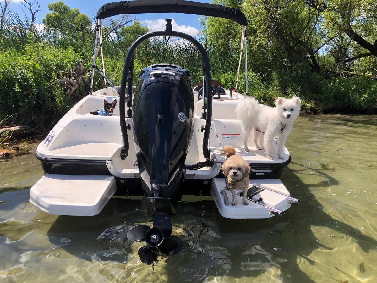 TravisGDunn1's tweet photo. If these are the dog days of summer I am all in!! #theyruntheshow https://t.co/NKSDaXD2RQ