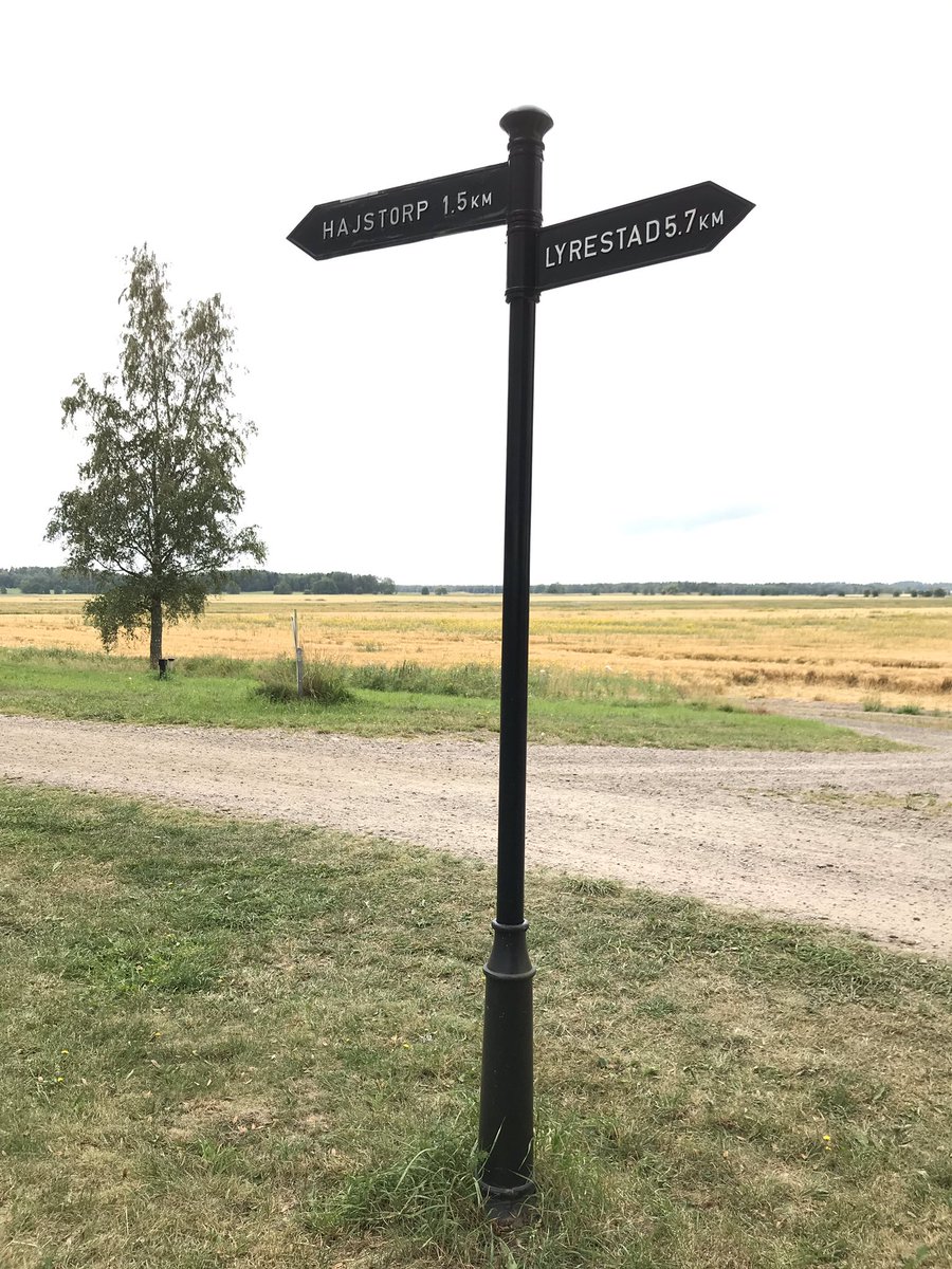 DenisevanKempen tweet picture
