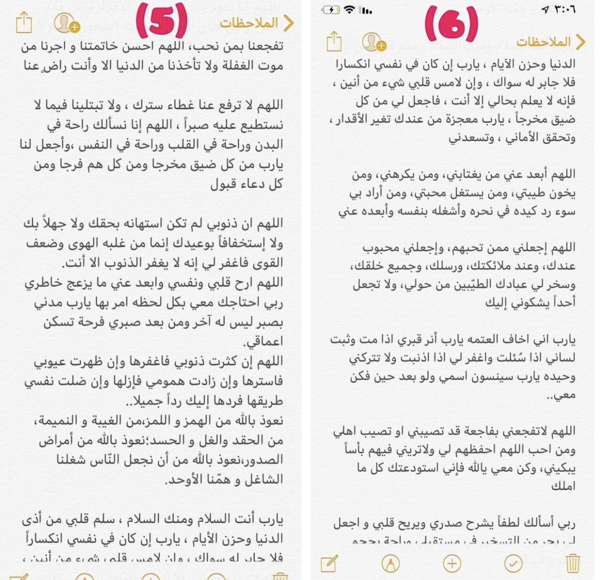 أ.د.عبقرينو tweet media