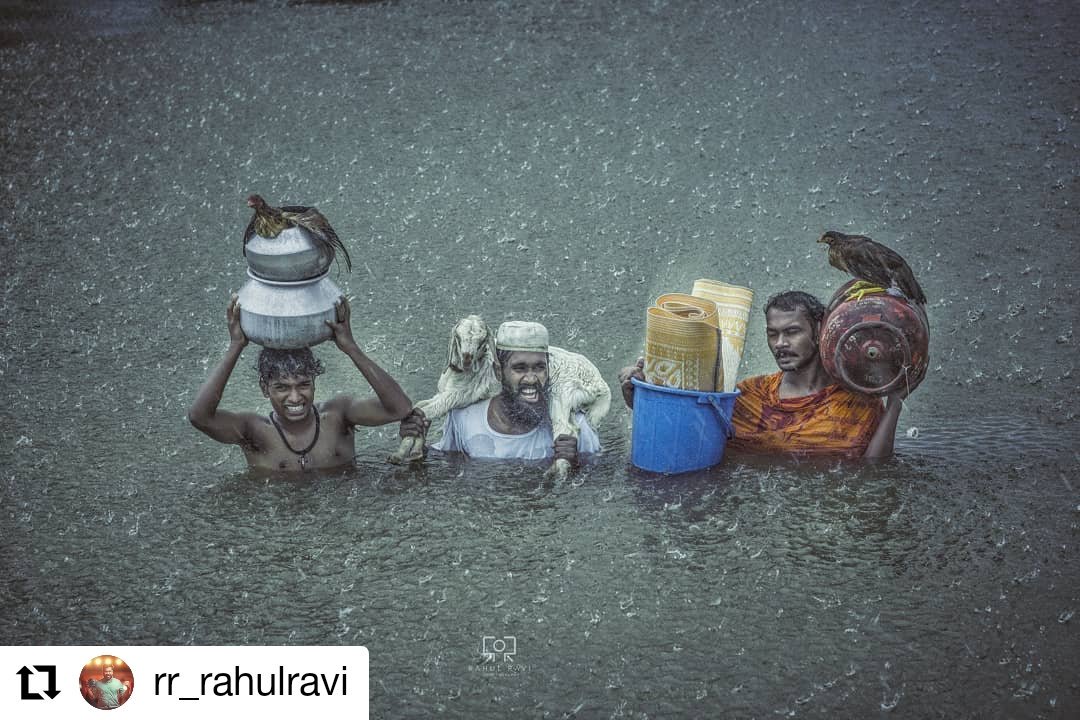 SidharthGirish's tweet photo. #Repost
The apparent unity Which's constant during disasters ...
For a reason, God's own country 4 uEh... 😏
.
.
.
.
#floodfriday #keralafood #keralagallery #keralagodsowncountry #keralavibes #keralasnaps #savekelley #moodedits #moodygram_kerala #moods_in_frame https://t.co/fXdAPI7z9y