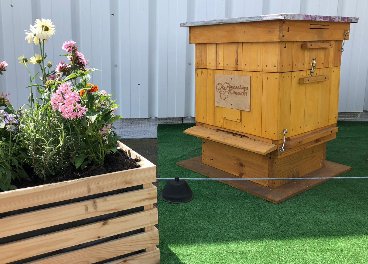 Carrefour instala hoteles para #abejas  en azoteas de sus tiendas de #Polonia, una iniciativa para proteger estos insectos en el entorno urbano y crear conciencia sobre la preservación de la #biodiversidad y la #apicultura en ciudades.#apiculturaurbana
revistainforetail.com/noticiadet/car…