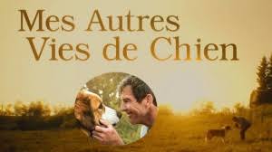 Mes Autres Vies De Chien Streaming Vf Complet Hd Mes Vf Twitter