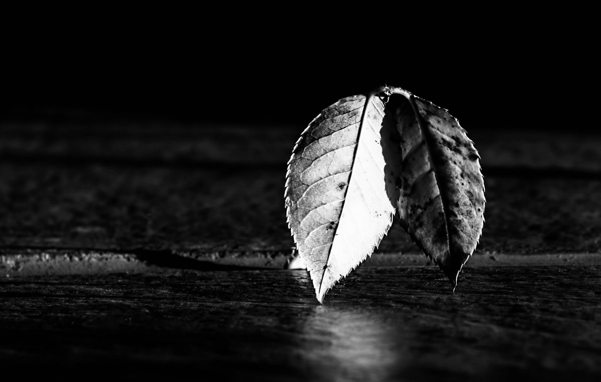 olive_concepts's tweet photo. “The dismissiveness she heard from others fuelled her shame.”
#selfinvalidation https://t.co/o2PQ2pOhhZ