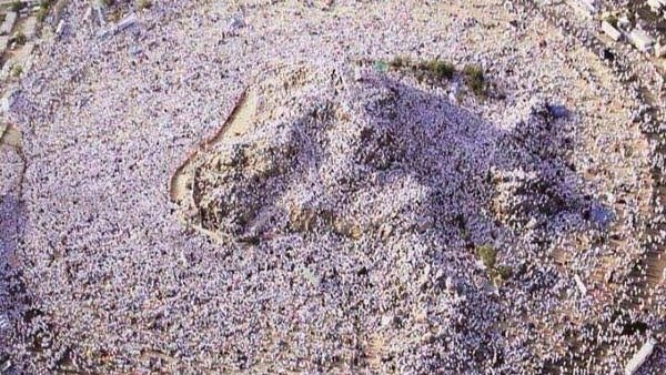 mimxvr's tweet photo. It always fascinates me how ISLAM &amp; HAJJ brings all the muslims together. How people belonging from different countries, cultures, races etc are gathered in the same place in the same dress in front of Allah.
The true &amp; literal meanings of UNITY, FAITH &amp; DISCIPLINE!

#HajjMubarak https://t.co/qRfJZ88UQF