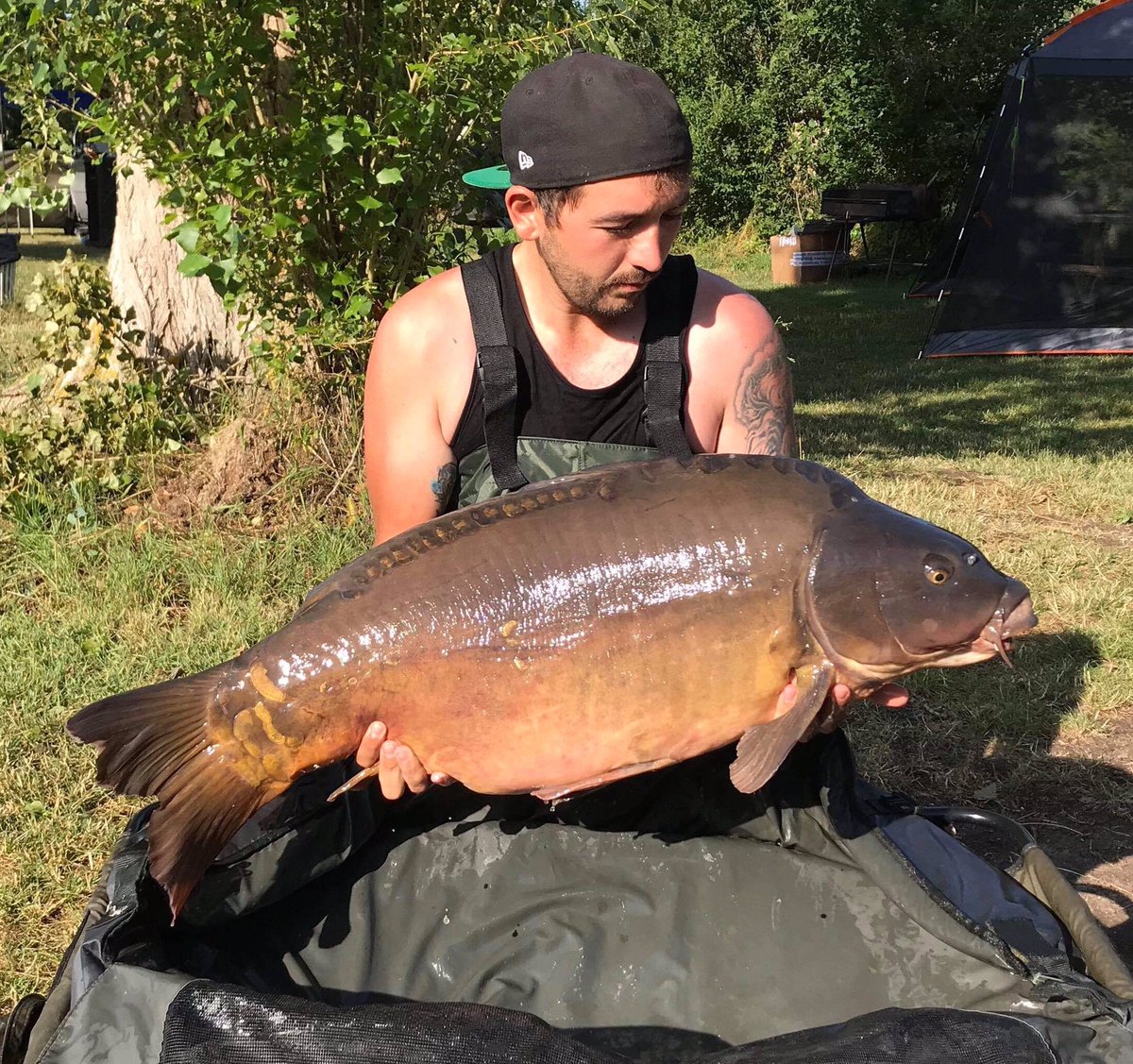 galaxybaits's tweet photo. Josh Nicholls had to bear the 40’+ heat for these chunks, both of them 43lb , fishing alongside dad Richard,  on lac du passion few weeks back ! 
#GalaxseaPlum
#topangling 
#👍🏻 https://t.co/jwcniS96So