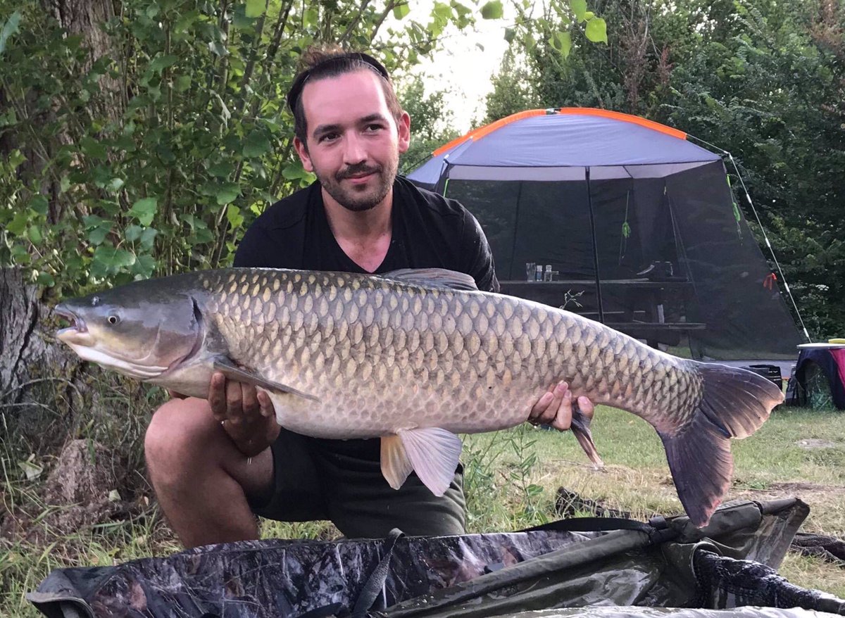 galaxybaits's tweet photo. Josh Nicholls had to bear the 40’+ heat for these chunks, both of them 43lb , fishing alongside dad Richard,  on lac du passion few weeks back ! 
#GalaxseaPlum
#topangling 
#👍🏻 https://t.co/jwcniS96So