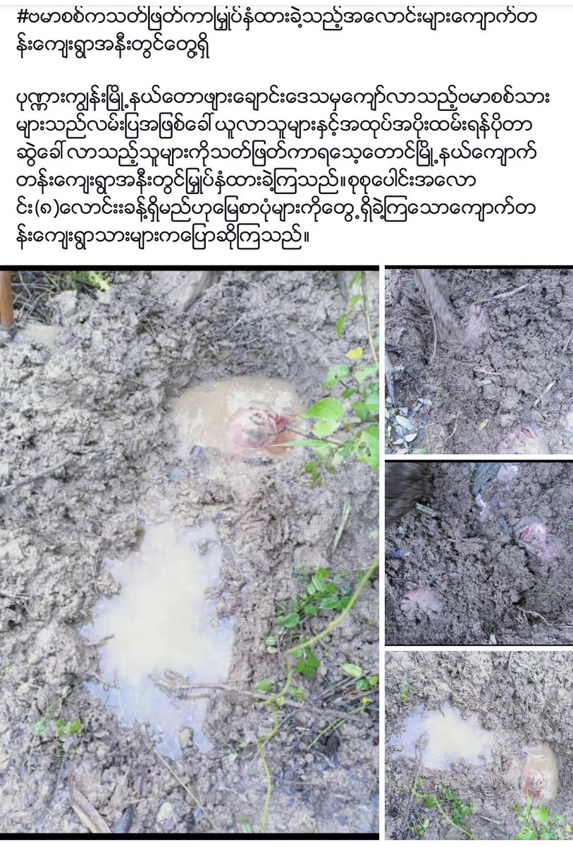LimTaw's tweet photo. Villager found 7 dead bodies, when raining that bodies  are apperance.  They said who are that bodeis are Burmese military killed and have been buried.  No words for our arakanese Buddhist life at Rakhine state. Save Rakhine. please https://t.co/7ts80jK4FU