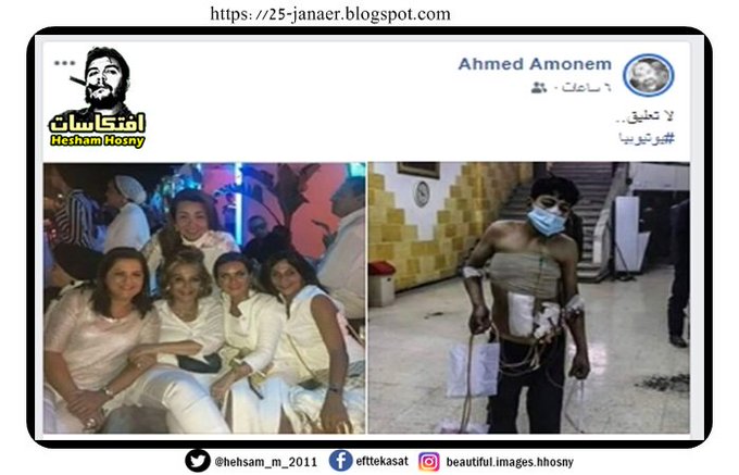 بدون تعليق .. السحل الشمالى والوزيرات