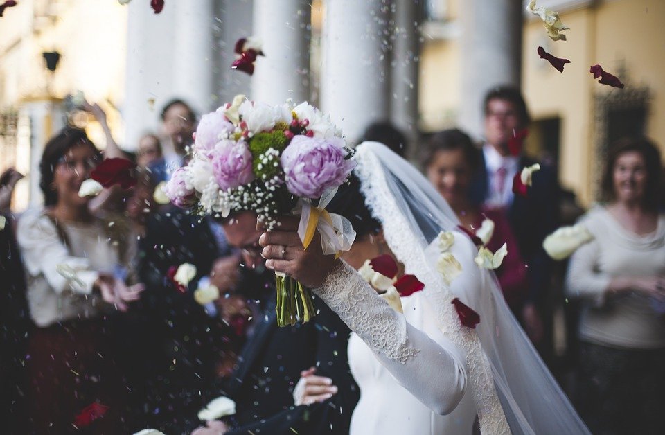 NOVIAS Select tweet media