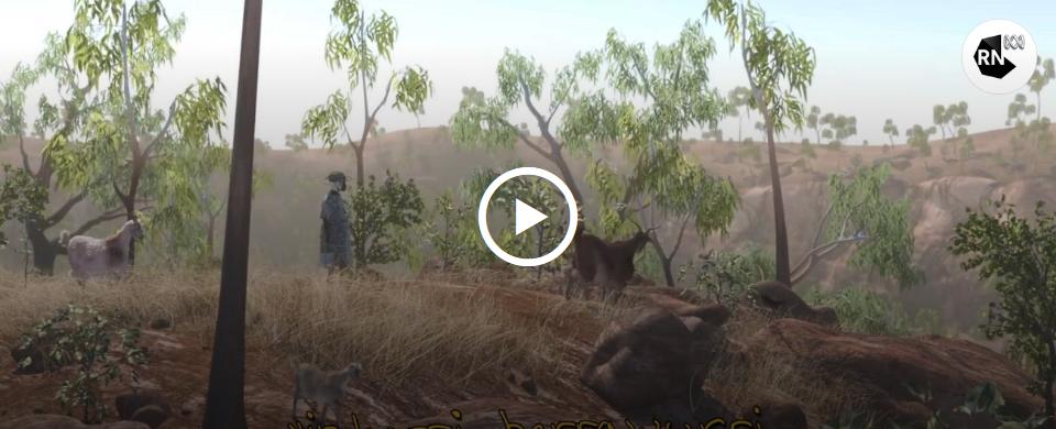 WgarNews's tweet photo. @Absurd_Penguin @lynlinking @anne_clothier @JennyPineapple2 @Triplejay58 @OddemocracyA @LadyPoop2 @JusticeMatter10 @WhteRbbnAdvocat @RobRobbEdwards @RadioNational #Wunungu #Awara is #AnimatingLanguagePreservation on #Awaye! with #DanielBrowning on #RN '#3Danimation is the LatestToolBeingUsed to #Revitalise #Australia's #IndigenousLanguages '
LISTEN to #ABCradio: https://t.co/hNONo7n42K
#WununguAwara #AboriginalTalk #AboriginalLanguages https://t.co/4P0cBQzL2L
