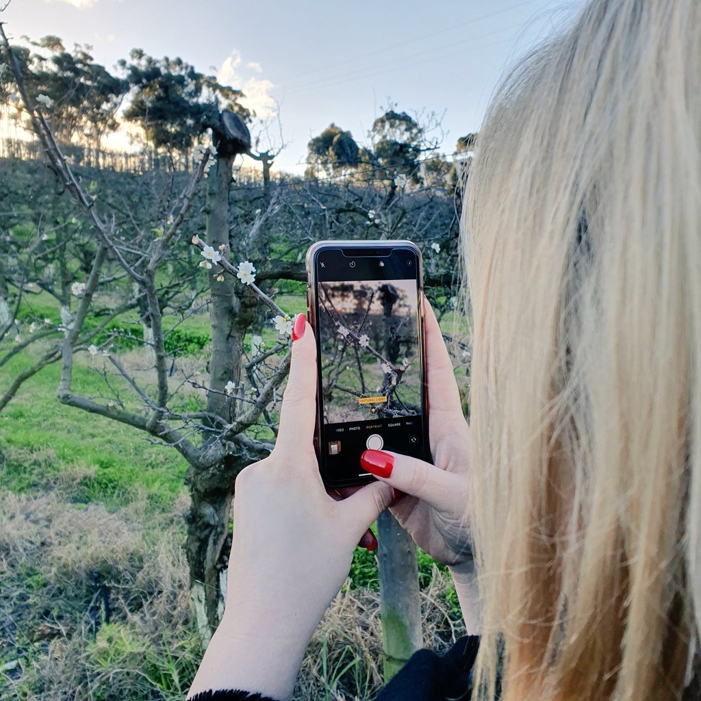 MattRuddRiffs's tweet photo. @wildekransCH is the jewel of Elgin Valley. 

@WildekransWines https://t.co/WYbtHzs6lA