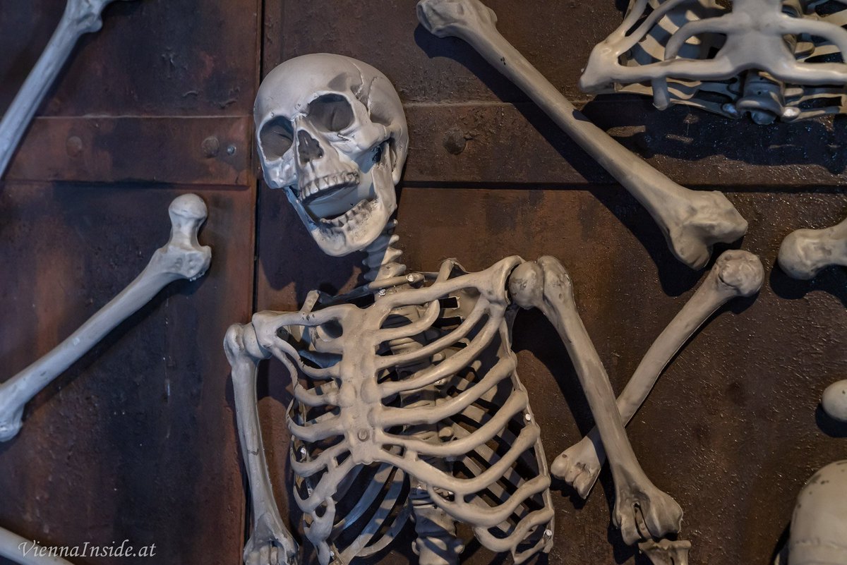 ViennaInside's tweet image. Fluch der Piraten - eine neue Abenteuerbahn hat im Prater eröffnet ☠️💕 wir durften schon vorab Probefahren und haben für euch Bilder &amp;amp; ein Video von der neuen "Geisterbahn"  alle Infos viennainside.at/fluch-der-pira… #Wien #Prater #ViennaInside