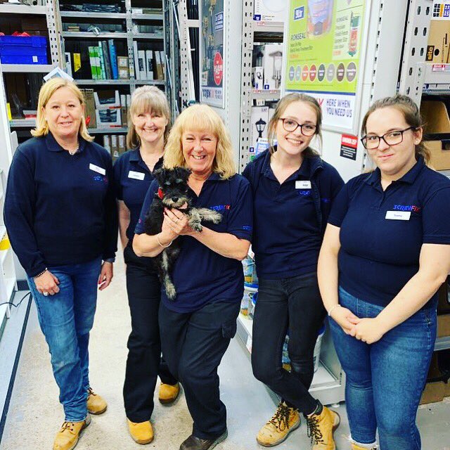 AdventuresofTi4's tweet photo. Daddy is taking me to his favourite shop @Screwfix 

It is my favourite place too - I knows where the lovely ladies keep the #dogtreats #woofwoof ❤️

#dogfriendly #schnauzer #SchnauzerGang #dogs #puppy #miniatureschnauzerpuppy #adventures #instadogs #screwfix https://t.co/EEIXMdf7IO