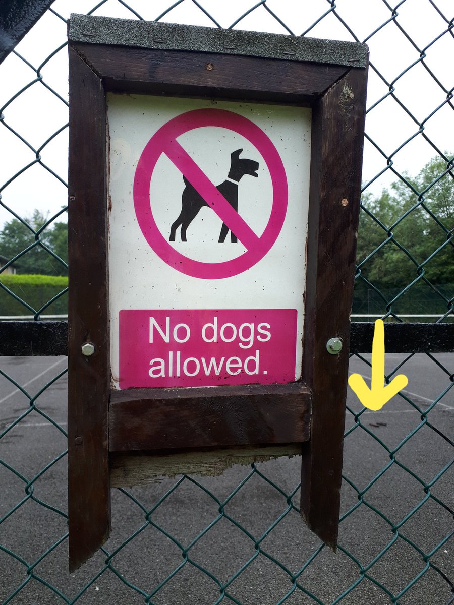 "No dogs allowed" in the tennis courts at #RobertAshtonPark, #Meltham and yet currently a big pile of dog poop in there...

🤔🐕💩🤭
