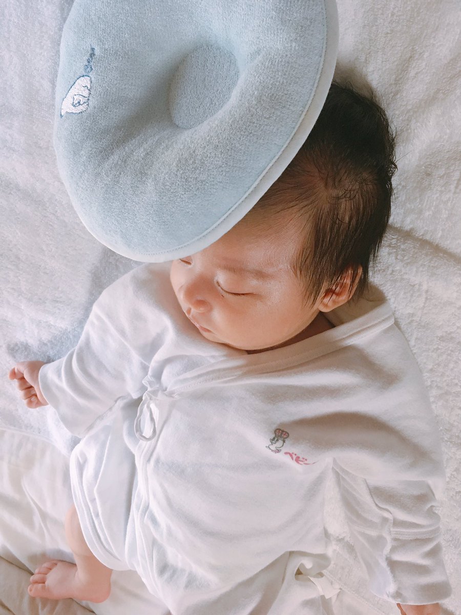 ysb818's tweet photo. まくら頭にのせて寝てた
お帽子みたいでおしゃれ👒
ため息でちゃうくらい可愛い💗 https://t.co/XwHkAZp0xz