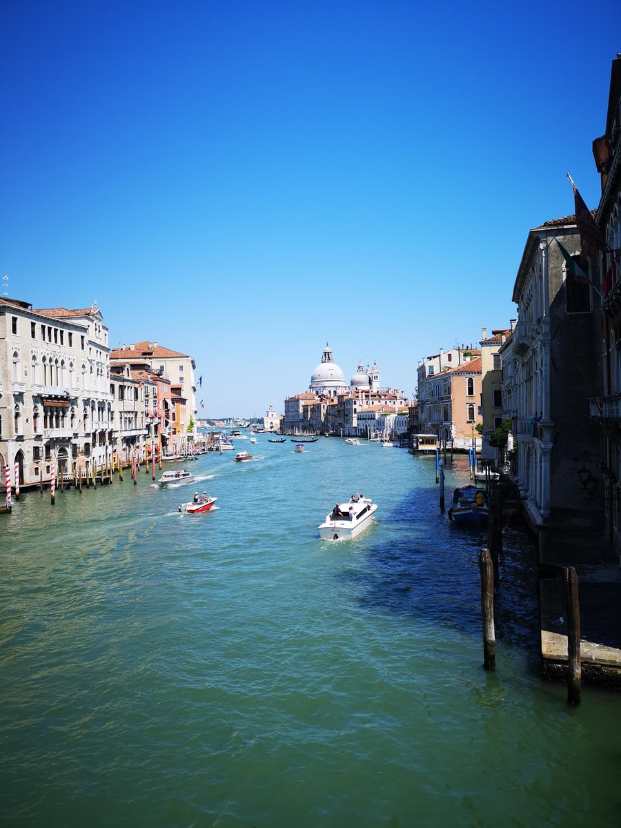 cookinvenice's tweet photo. Buongiorno everyone from the most beautiful amazing city in the world: #Venice!

What are you up to this #weekend?

We are #cooking, obviously!

#cookinvneice #cookinginvenice #venicefood #veniceblog #foodtour #foodinvenice https://t.co/9dNt7itLss