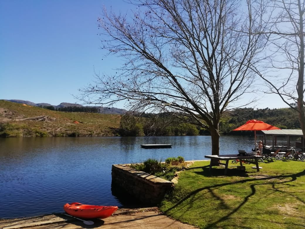 What a beaut of a day for a river cruise! Join us at #ElginRiverLodge for lazy barging on the river and our #CRUNCH! wines.

#ElginRidgeWines #ElginWinterFestival