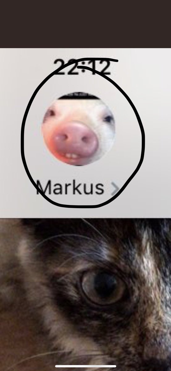 Britta ElsertGynning tweet media