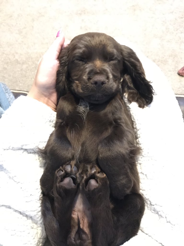 jennamillard's tweet photo. @jacobammm Baby Bella ❤️ https://t.co/efD1KXePEM
