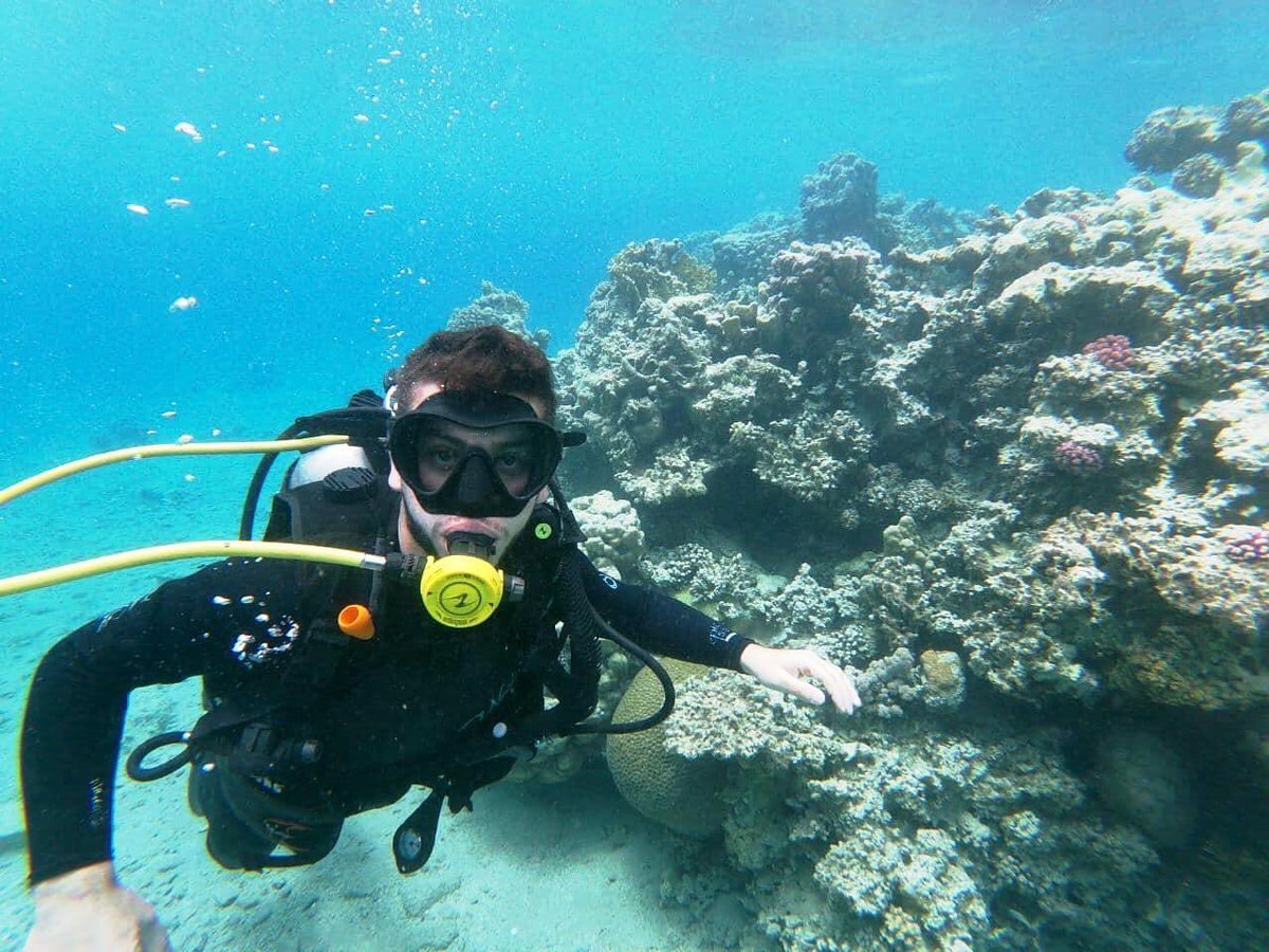 JordanFrogman1's tweet photo. That's what it looks like when you try diving for the first time ( Knowing that Osama is not good at swimming, NOT GOOD AT SWIMMING and the result was #impressive ) 😅👌  

Call us NOW and try it with #MrFrogman 

+962 795 694 980
+03 205 11 99 https://t.co/9gXE4eQydI