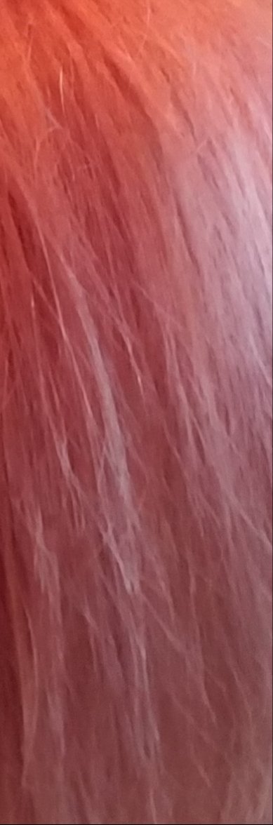 ひじき Ar Twitter あかるめアッシュ髪 黒髪戻し 数ヶ月後痛みまくってた髪が自然と赤くなる 本日ホワイトブリーチ 自然とピンク すごいピンク 似合わないので速攻ダブルカラーしましたが すごいきれいなピンクになった 写真無加工です