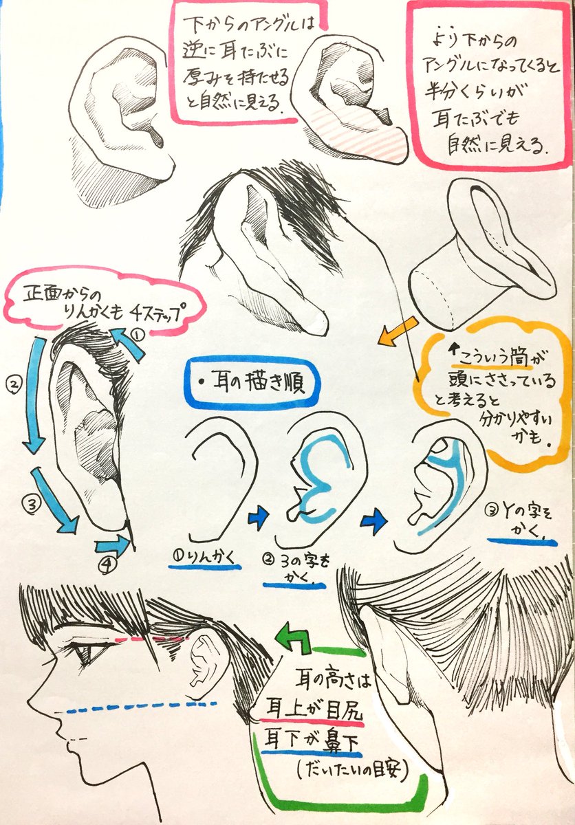 【顔と耳の描き方】

『顔アングルと耳の構造』が上達する

✨4ページまとめ講座✨です。 