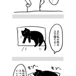 猫が枕を強奪するからマイナス10点だけど、添い寝してくれるからプラス5億点w