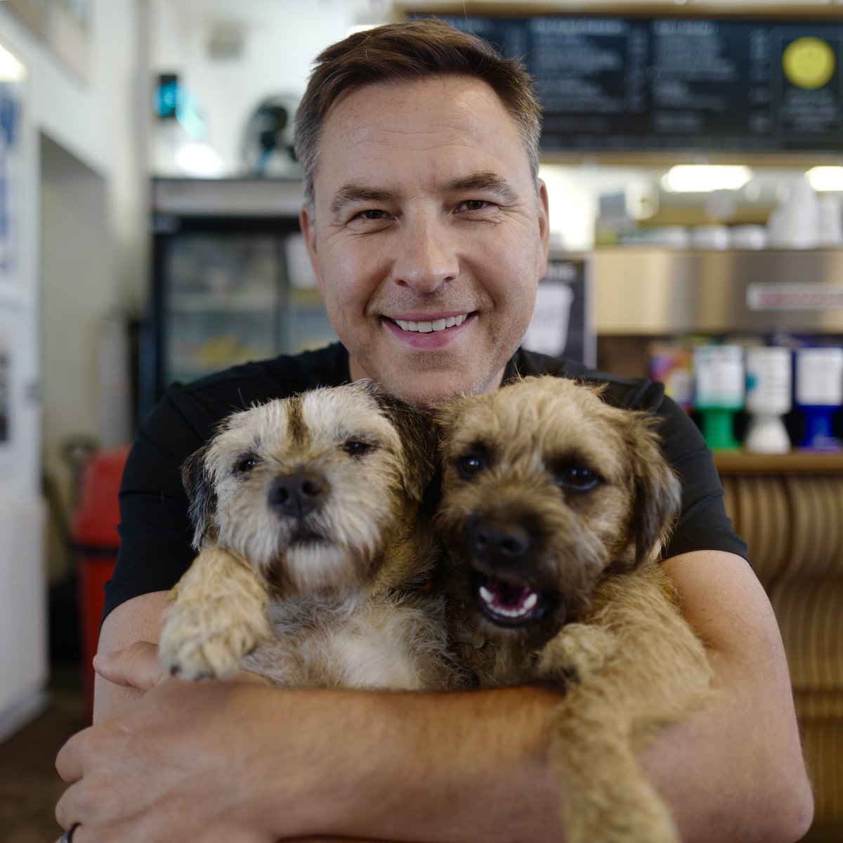 David Walliams HQ tweet media