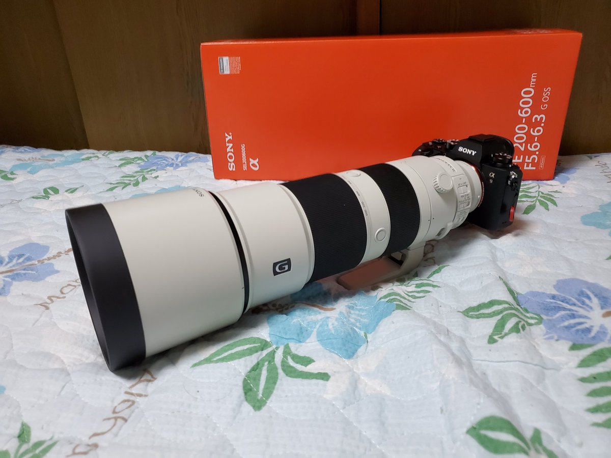 hg21stx's tweet photo. 本日FE200-600が届きました📷
まさか予約してから1週間で来るとは思わなかった😅
このレンズを使うためにα9も導入したので、そのうちテレコンも買って野鳥撮影をしていく予定です💡
#写真好きな人と繋がりたい
#α9 #sony #FE200-600
#カメラが好きな人と繋がりたい https://t.co/cl0xsDJCP0