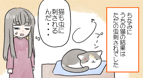 夏に多い猫の皮膚の異常…。同じような症状で心配している方に届けば嬉しいです！
治療法と経過はリンク先で
 