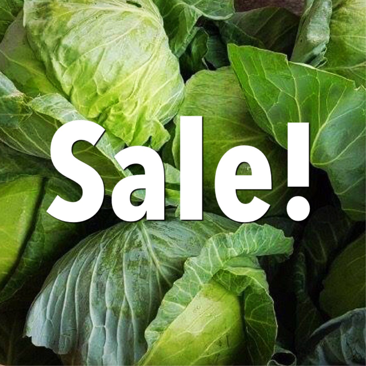 edengardenfv's tweet photo. New Ontario cabbage is on sale! 👏💪 #Sale #OnSale #LowPrice #Ontario #Cabbage #Koperek #Kapusta #NewCabbage #BuyLocal #SupportLocalFarmers #EdenGarden #Mississauga https://t.co/pz2hc902qX