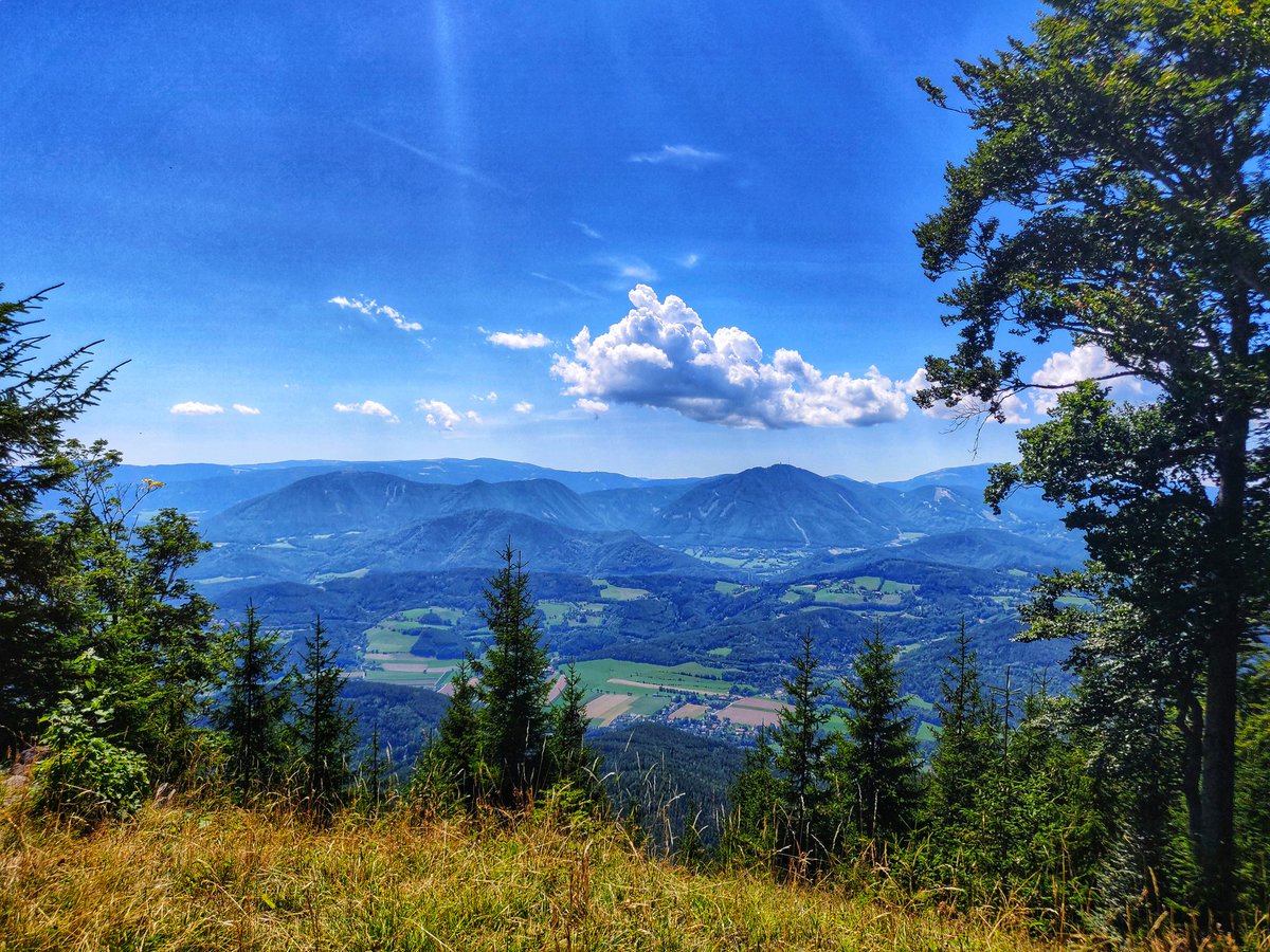 _DiningCar's tweet photo. With a 1h train ride from #Vienna🇦🇹 one is in The Alps and nice hiking trails are all over the place! Perfect for such an excursion: #EC151 "Emona" starting at 8am and offering a wonderful cappuccino at it's marvelous @slozeleznice🇸🇮 #diningcar 😍! What a wonderful day 👍! https://t.co/eBmL1IsHKp