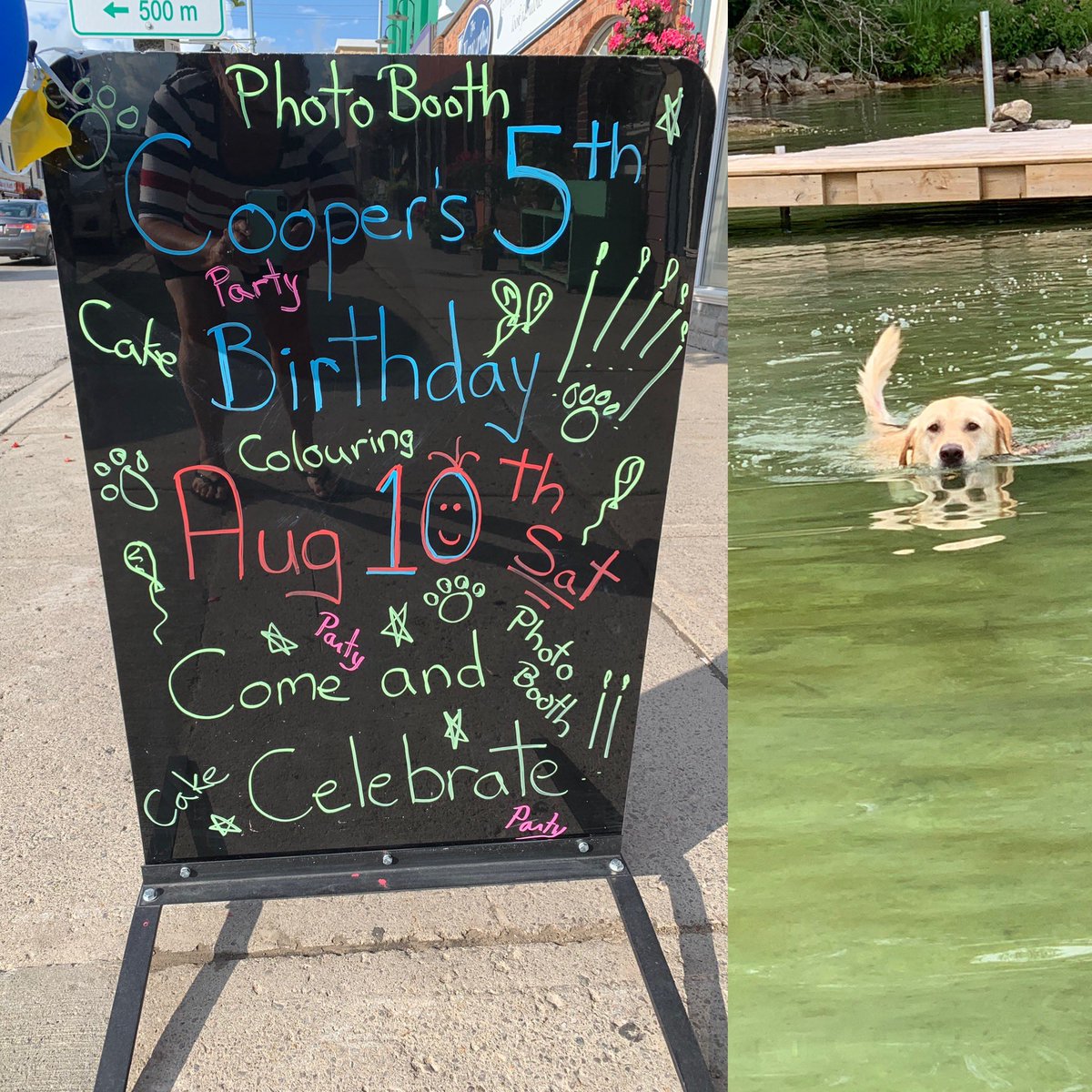 kawarthastore's tweet photo. Look who turns 5 today!!! You are invited to Cooperโs Birthday Party today @thekawarthastore Stop in for cake and a photo with Cooper. And as always we are Pet Friendly. #petfriendly #fido #fabcanadianfashions #livingthelifeinthekawarthas #fenelonfalls #lock34 #kawarthalakes https://t.co/w27v6N2j9G