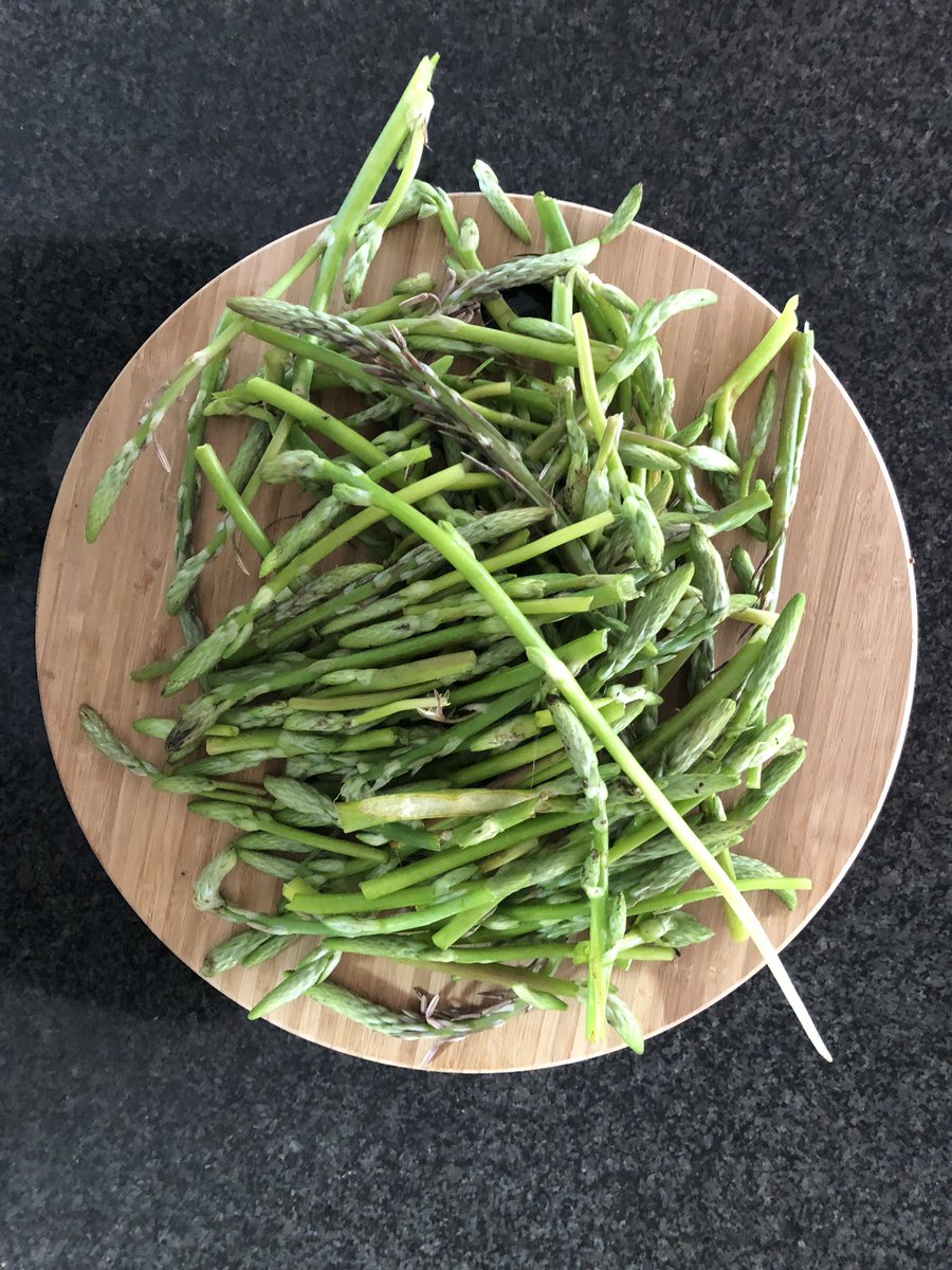 LorikaElliott's tweet photo. Foraged veldkool for tomorrow’s lunch. Going to try it with Umngqusho and lamb. Hope it works.
#veldkool #umngqusho #foragedfood #weskus #grottobaynaturereserve #grottobaai https://t.co/PI859NVu8j