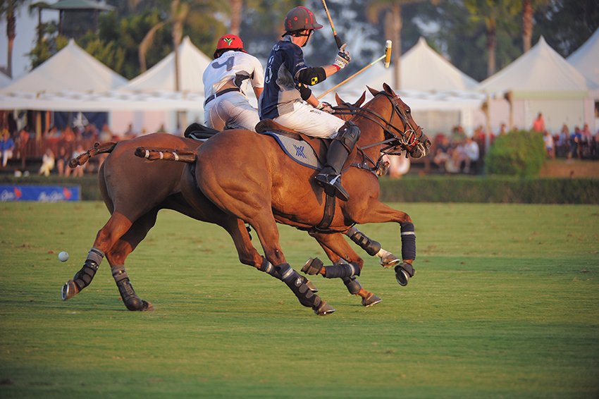 nollsotogrande's tweet photo. 🏇 #AGOSTO EN #SOTOGRANDE, A PURO #POLO!
_
+INFO: https://t.co/netb0KoF5U @SantaMariaPoloC 
#sotograndepolo #sotograndelifestyle #torneointernacionalpolo #torneopolo #gibraltar #marbella #sanroque #andalucia #polospain #pololine #santamariapoloclub https://t.co/pycKYhzDna