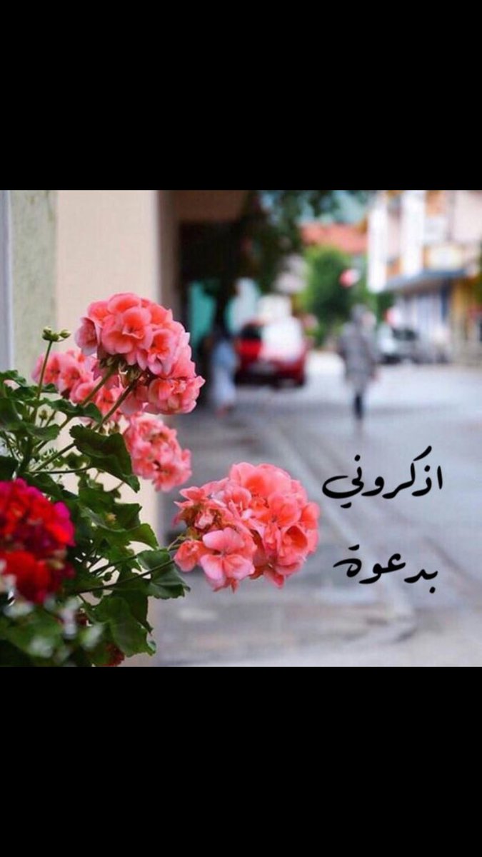 #يوم_عرفه_1440