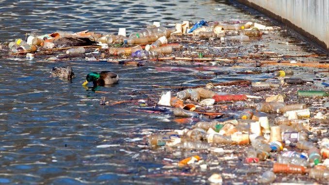 Rachelriva15's tweet photo. Environmental Issues
A thread
#ENVIRONMENTALVALUESYSTEM
#NCLC11ABMB https://t.co/vSsrKSiBDx