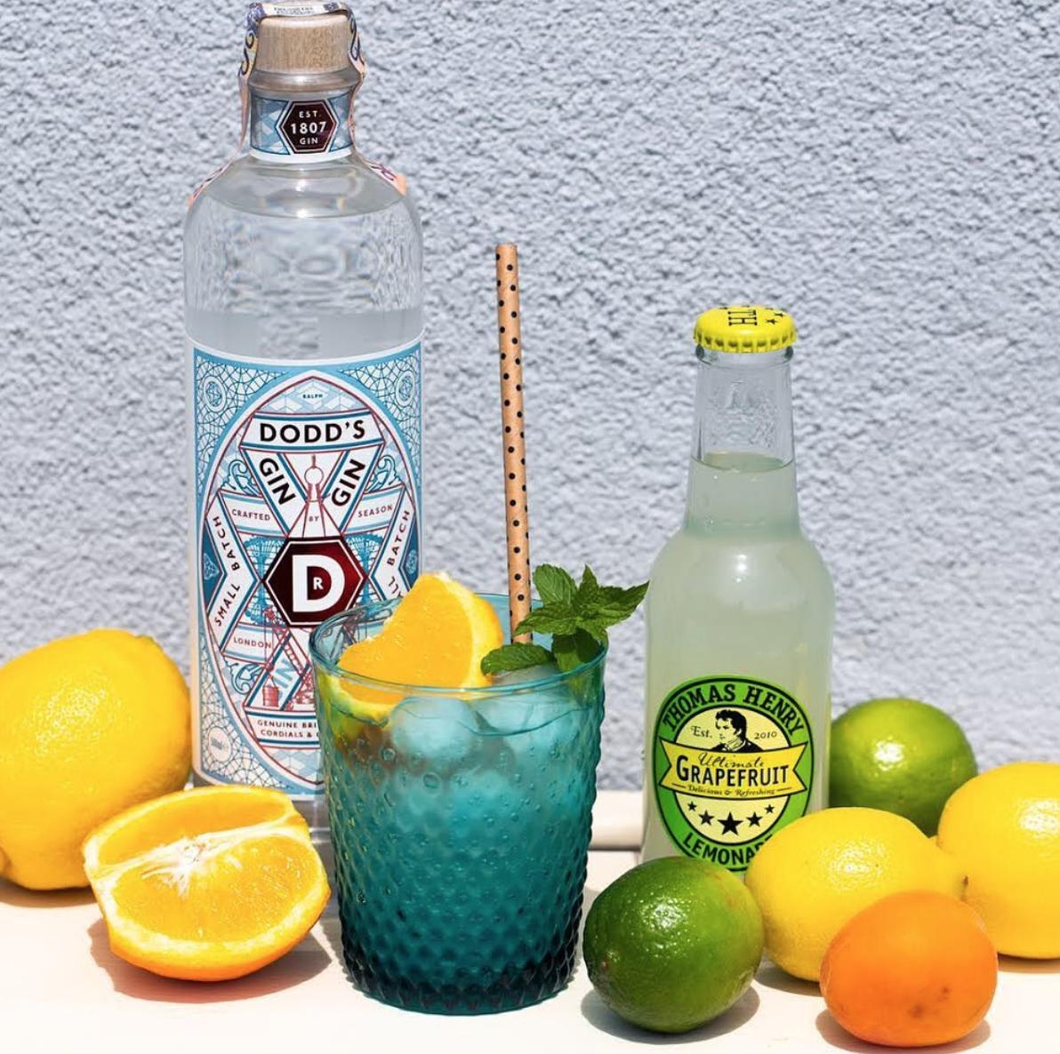 BBBrandsUK's tweet photo. 🍋🍊Citrus perfection!🍋🍊

@DoddsGin paired with @thomashenry_de

📸: @ svetnapojov on Instagram

#doddsgin #thomashenry #gintime https://t.co/erRGNuMW2F