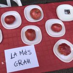 Photo by Compromís Vilallonga (@CompromisVLG)