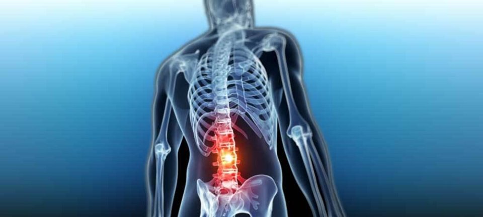 DrSusmitNaskar's tweet photo. ➖ #Cervical #SpineSurgery in India
▫️
▫️
➖ Are you suffering from #spinal or any other related pain? Request an appointment with Dr. #SusmitNaskar today. Visit https://t.co/bH9ibCgx1v for appointment.
▫️
▫️
➖ #CervicalSpineSurgery #InvasiveSpineSurgery #SpineSurgery #Sciatica https://t.co/tRdyfs2FfU