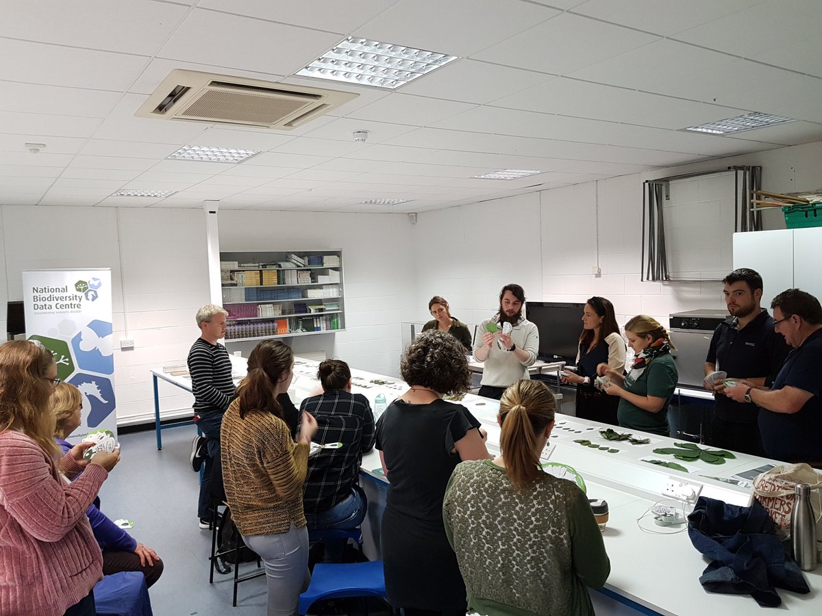 BioDataCentre's tweet photo. Time to get hands-on! There's plenty of specimens to identify. @OshDuffy is putting our #workshop participants through their paces! 🤓😁 #treesandshrubs #summerautumn2019 #workshopprogramme #sligo @BioDataCentre @CERIS_ITSligo https://t.co/5ofgbsuWsW