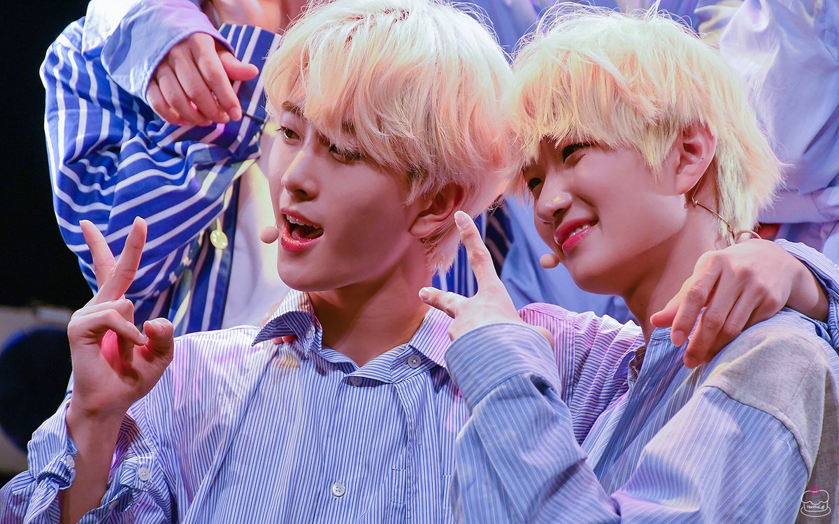 Hanttal_gi's tweet photo. 180810 #Newkidd #뉴키드 
キックオフファンミーティング 
#BOYBOYBOY @jflo_newkidd
#진권 #Jinkwon #ジングォン
#우철 #Woochul #ウチョル https://t.co/hrAfDQNhdQ