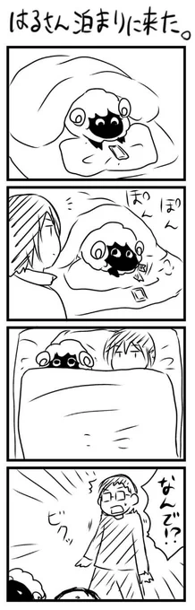 羊シリーズ③ 