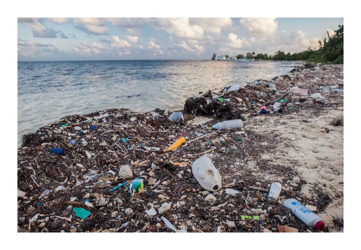 LondonStraws's tweet photo. Around 4.7 billion plastic straws are used in England each year and around 150 million tonnes of plastic is currently polluting the worlds oceans! 

Paper Straws London are encouraging people to reduce their use of plastic and buy paper. 

#recycle #paperstraws #oceanlife https://t.co/KrNrRdhcLk