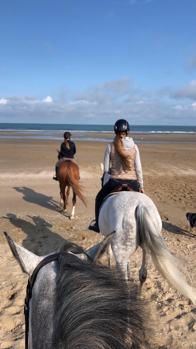 GeodeColigny's tweet image. Week-end plage 🤩 #Deauville