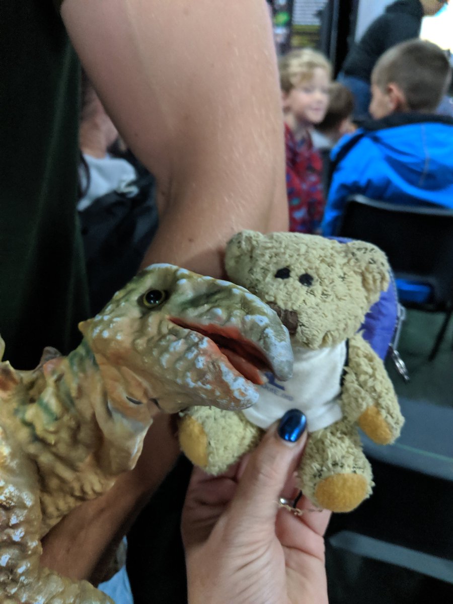 duddersdofe's tweet photo. Dudders found some friends! (And Chris again)
@Dino4hireuk
#dudders #awwcute #evenchris https://t.co/HDmb8WfGYP