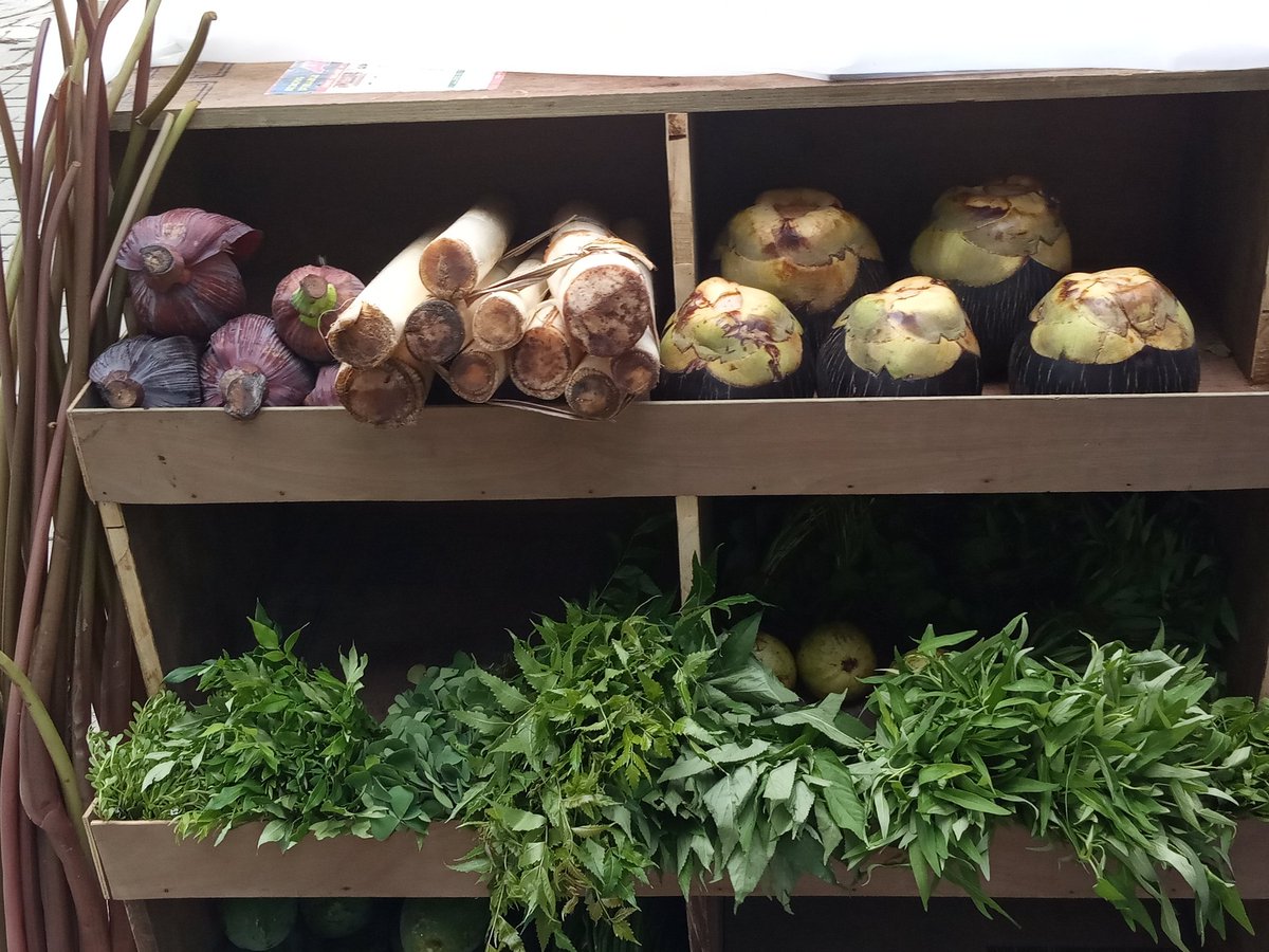 Badabon Harvest tweet media